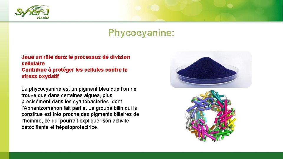 Phycocyanine: Joue un rôle dans le processus de division cellulaire Contribue à protéger les