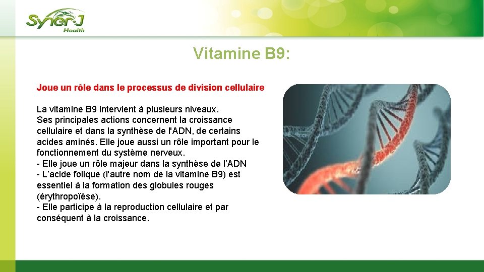  Vitamine B 9: Joue un rôle dans le processus de division cellulaire La