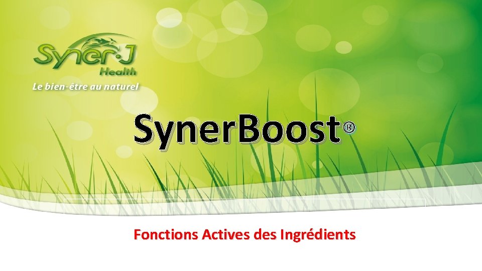 Syner. Boost® Fonctions Actives des Ingrédients 