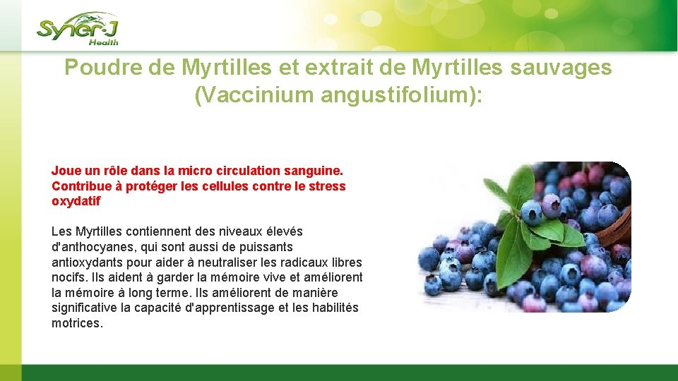 Poudre de Myrtilles et extrait de Myrtilles sauvages (Vaccinium angustifolium): Joue un rôle dans