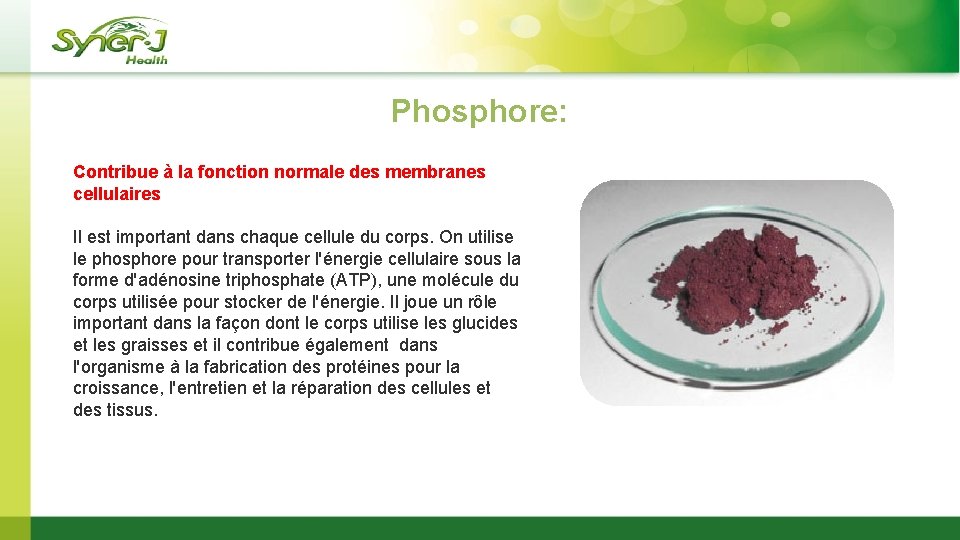 Phosphore: Contribue à la fonction normale des membranes cellulaires Il est important dans chaque