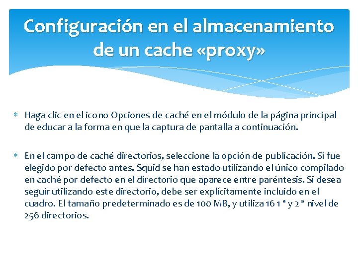 Configuración en el almacenamiento de un cache «proxy» Haga clic en el icono Opciones