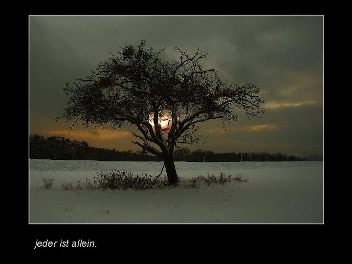 Im Nebel Gedicht von Hermann Hesse Musik Hubert