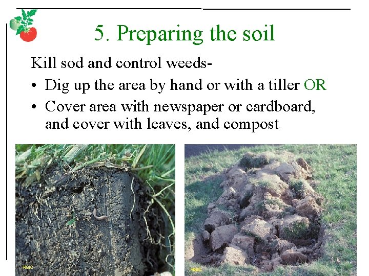 5. Preparing the soil Kill sod and control weeds • Dig up the area