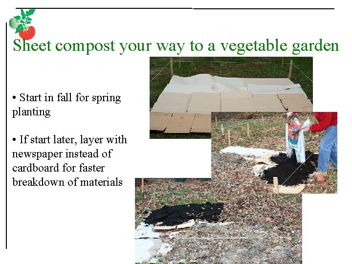 Sheet compost your way to a vegetable garden • Start in fall for spring