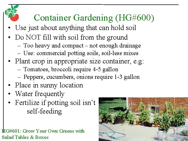 Container Gardening (HG#600) • Use just about anything that can hold soil • Do