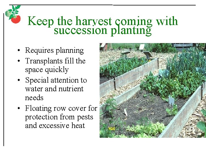 Keep the harvest coming with succession planting • Requires planning • Transplants fill the