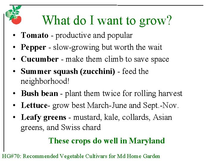 What do I want to grow? • • Tomato - productive and popular Pepper