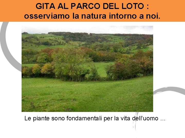 GITA AL PARCO DEL LOTO : osserviamo la natura intorno a noi. Le piante