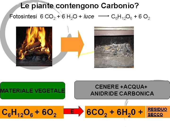Le piante contengono Carbonio? Fotosintesi 6 CO 2 + 6 H 2 O +
