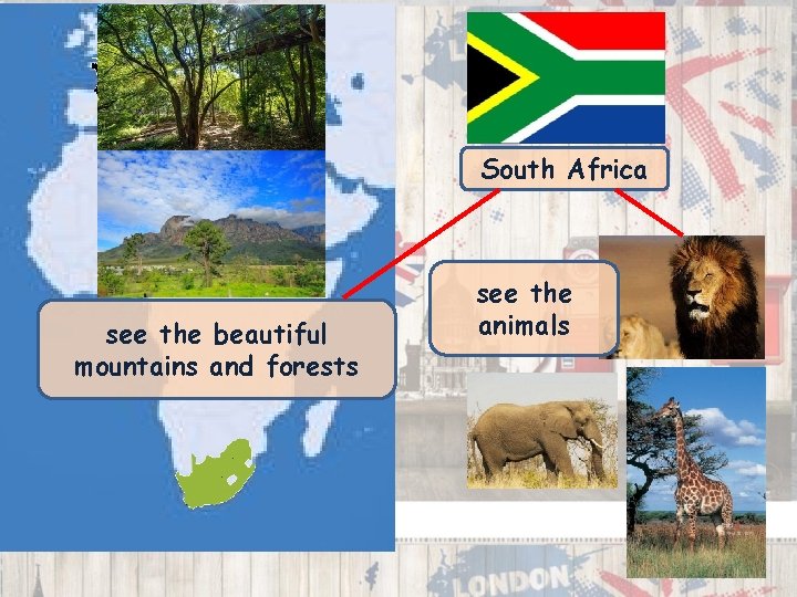 South Africa see the beautiful mountains and forests see the animals 