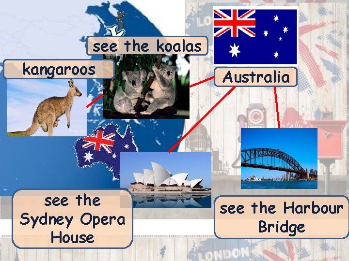 see the koalas kangaroos see the Sydney Opera House Australia see the Harbour Bridge