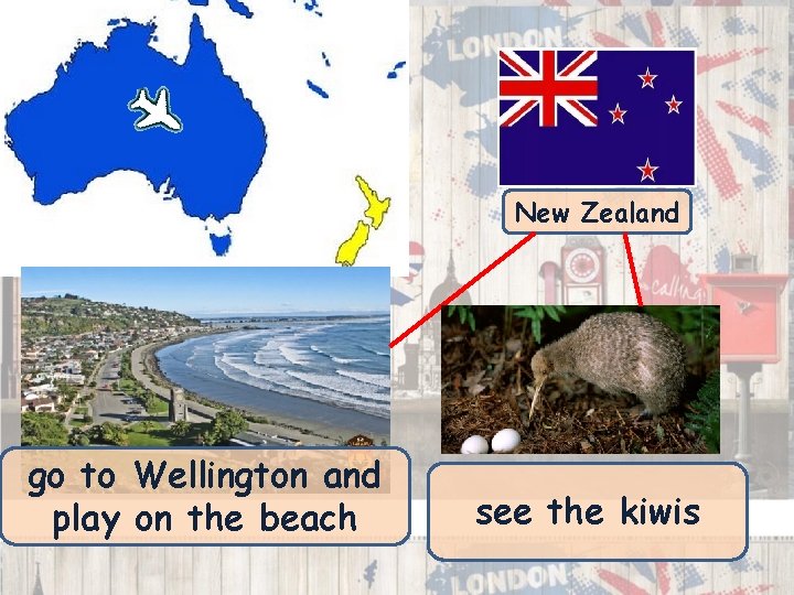 New Zealand go to Wellington and play on the beach see the kiwis 