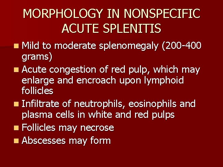 MORPHOLOGY IN NONSPECIFIC ACUTE SPLENITIS n Mild to moderate splenomegaly (200 -400 grams) n