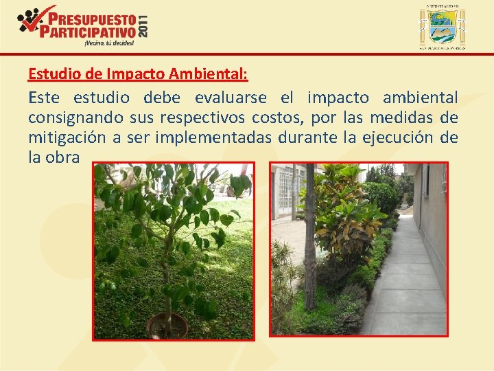 Estudio de Impacto Ambiental: Este estudio debe evaluarse el impacto ambiental consignando sus respectivos