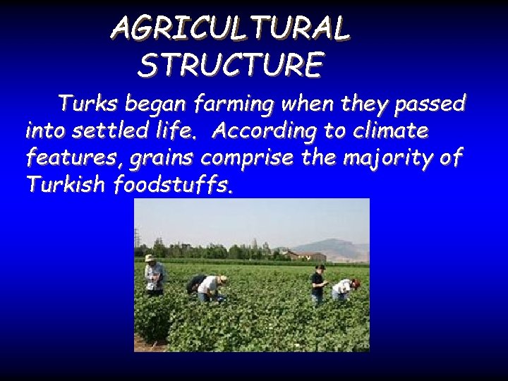 AGRICULTURAL STRUCTURE Turks began farming when they passed into settled life. According to climate