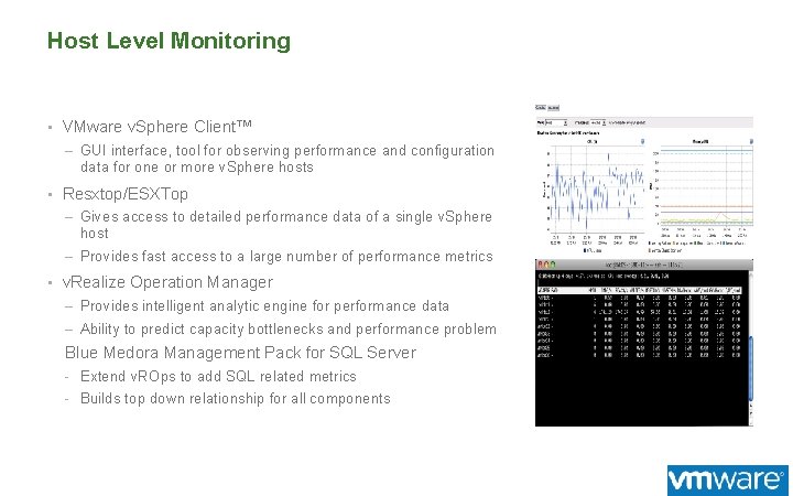 Host Level Monitoring • VMware v. Sphere Client™ – GUI interface, tool for observing