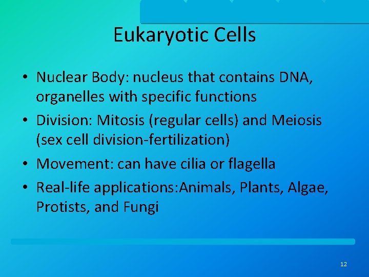 Eukaryotic Cells • Nuclear Body: nucleus that contains DNA, organelles with specific functions •