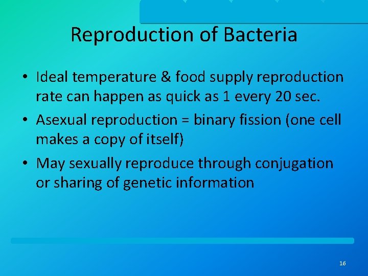 Reproduction of Bacteria • Ideal temperature & food supply reproduction rate can happen as