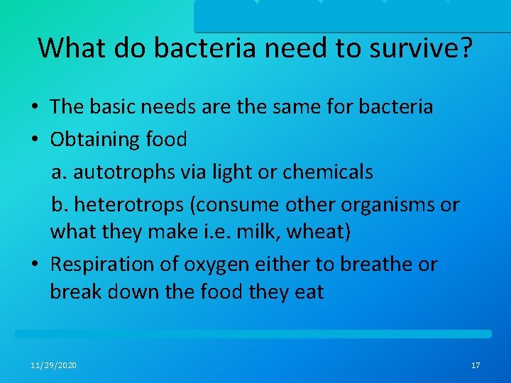 What do bacteria need to survive? • The basic needs are the same for