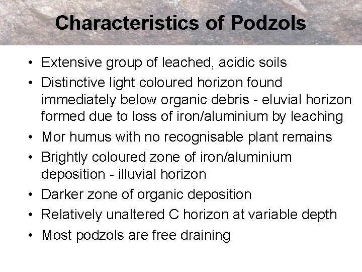 Characteristics of Podzols • Extensive group of leached, acidic soils • Distinctive light coloured