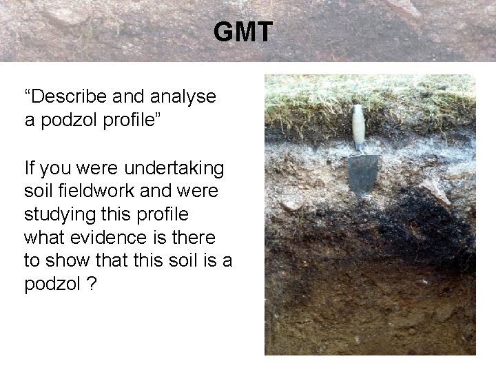 GMT “Describe and analyse a podzol profile” If you were undertaking soil fieldwork and