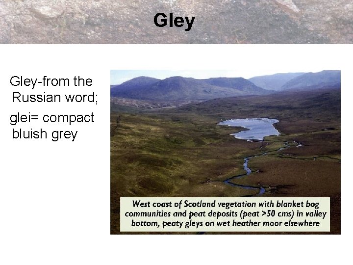 Gley-from the Russian word; glei= compact bluish grey 