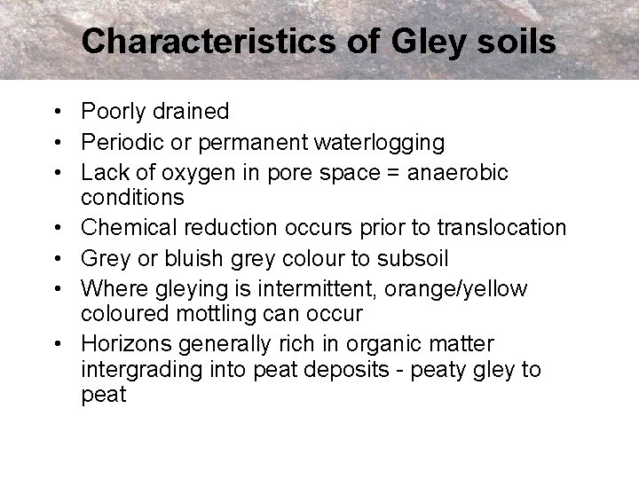 Characteristics of Gley soils • Poorly drained • Periodic or permanent waterlogging • Lack
