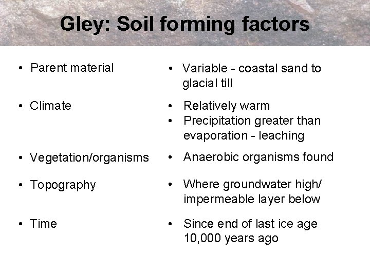 Gley: Soil forming factors • Parent material • Variable - coastal sand to glacial