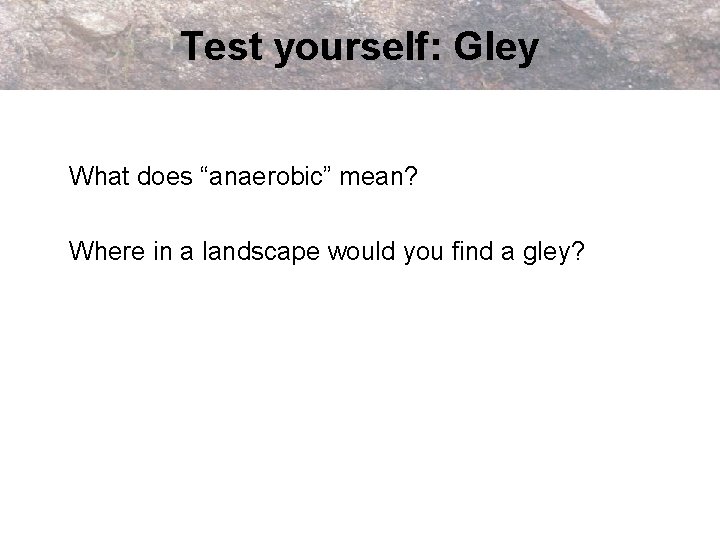Test yourself: Gley What does “anaerobic” mean? Where in a landscape would you find