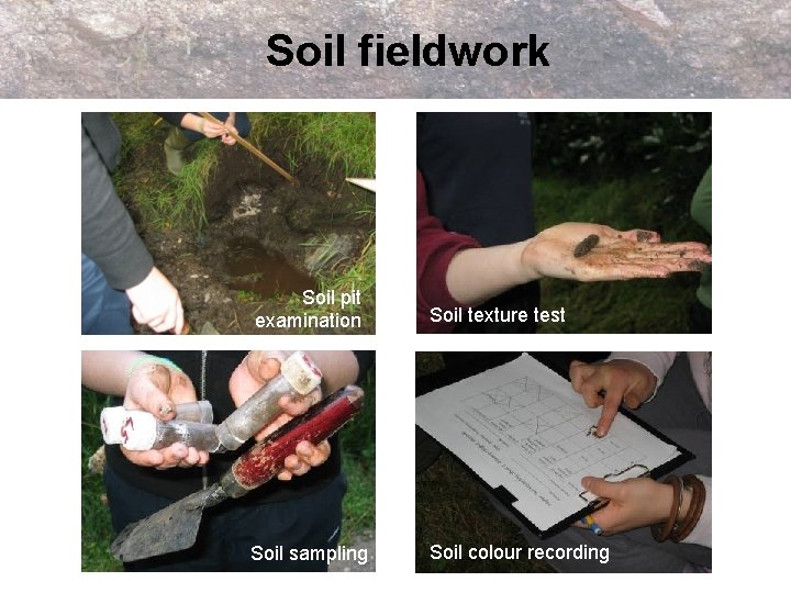 Soil fieldwork Soil pit examination Soil texture test Soil sampling Soil colour recording 