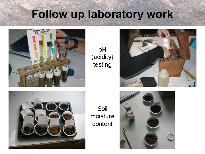 Follow up laboratory work p. H (acidity) testing Soil moisture content 