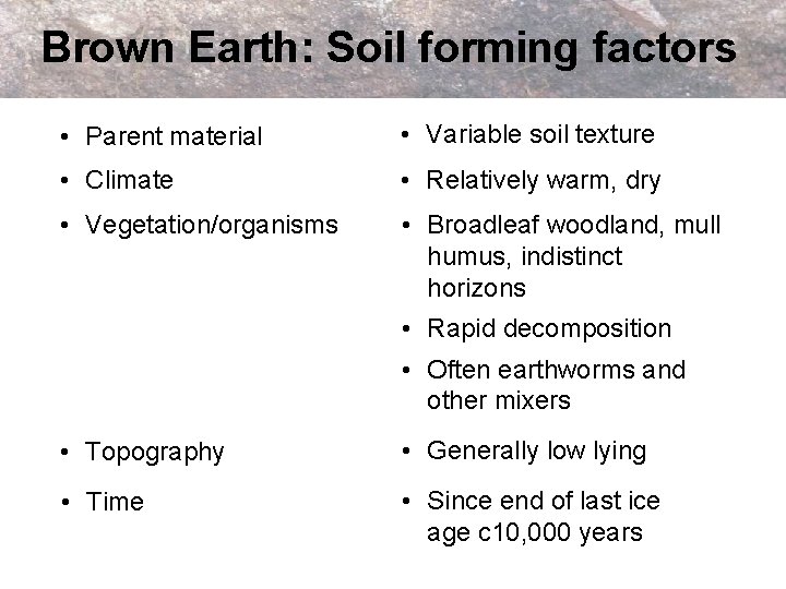 Brown Earth: Soil forming factors • Parent material • Variable soil texture • Climate