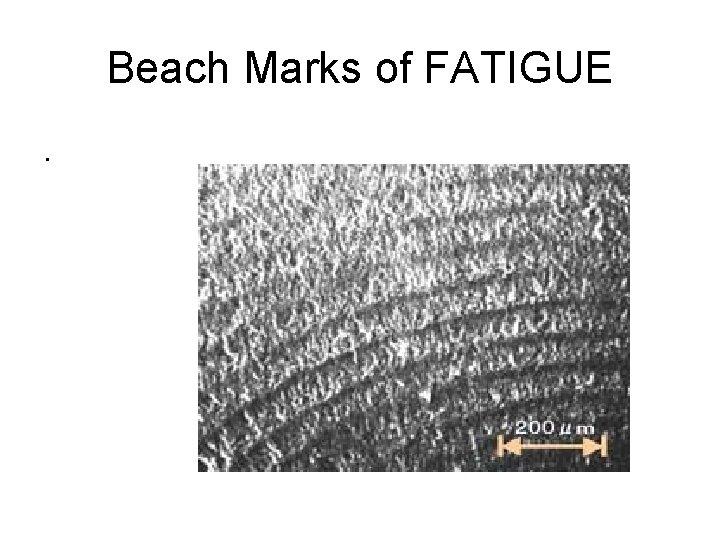 Beach Marks of FATIGUE. 