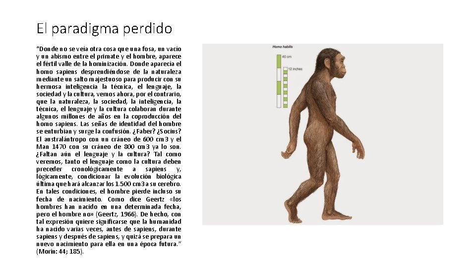 El paradigma perdido “Donde no se veía otra cosa que una fosa, un vacío