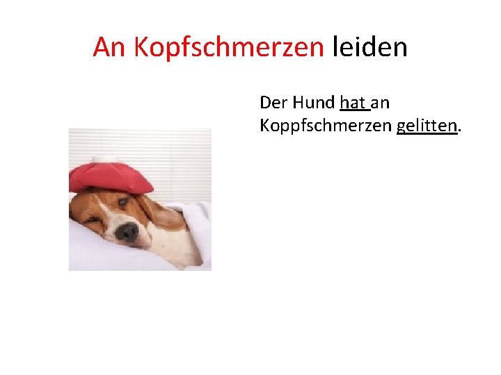 An Kopfschmerzen leiden Der Hund hat an Koppfschmerzen gelitten. 