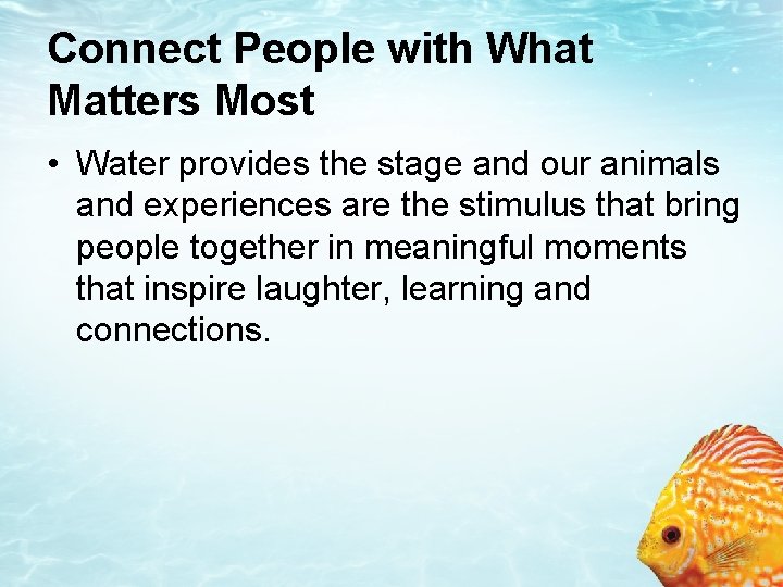 Connect People with What Matters Most • Water provides the stage and our animals