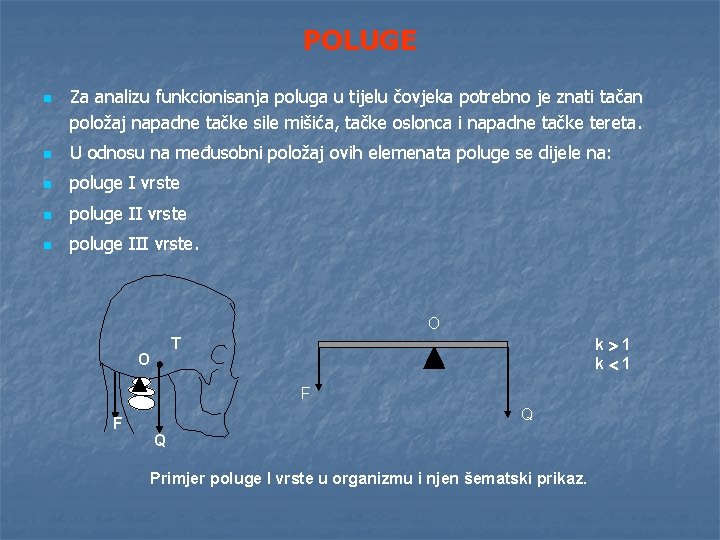 POLUGE n Za analizu funkcionisanja poluga u tijelu čovjeka potrebno je znati tačan položaj