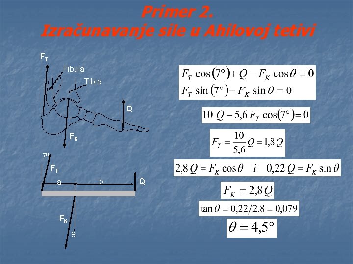 Primer 2. Izračunavanje sile u Ahilovoj tetivi FT Fibula Tibia Q FK 70 FT