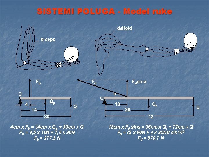 SISTEMI POLUGA - Model ruke deltoid biceps Fd Fb O Qp 4 14 Fdsina