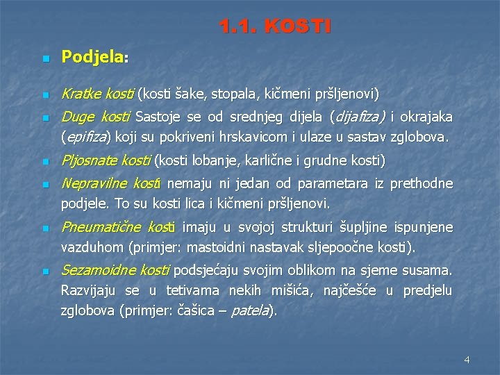 1. 1. KOSTI n Podjela: n Kratke kosti (kosti šake, stopala, kičmeni pršljenovi) n