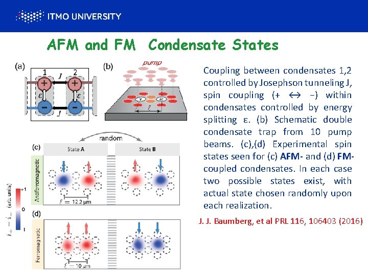 AFM and FM Condensate States Coupling between condensates 1, 2 controlled by Josephson tunneling