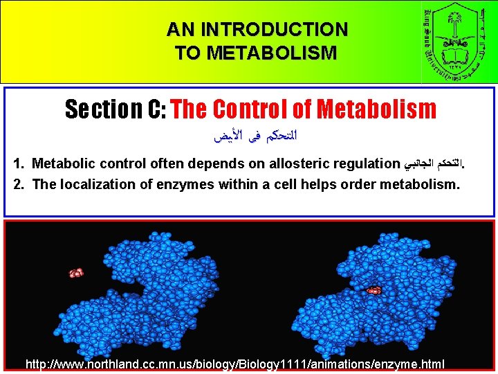 CHAPTER 5 AN INTRODUCTION THE STRUCTURE AND FUNCTION METABOLISM OFTO MACROMOLECULES Section C: The