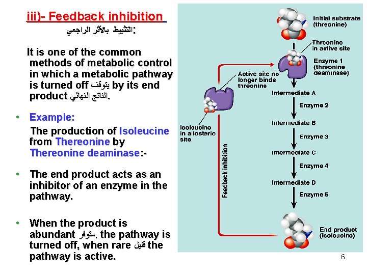 iii)- Feedback inhibition ﺍﻟﺘﺜﺒﻴﻂ ﺑﺎﻷﺜﺮ ﺍﻟﺮﺍﺟﻌﻲ : It is one of the common methods