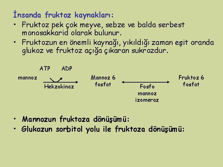 İnsanda fruktoz kaynakları: • Fruktoz pek çok meyve, sebze ve balda serbest monosakkarid olarak