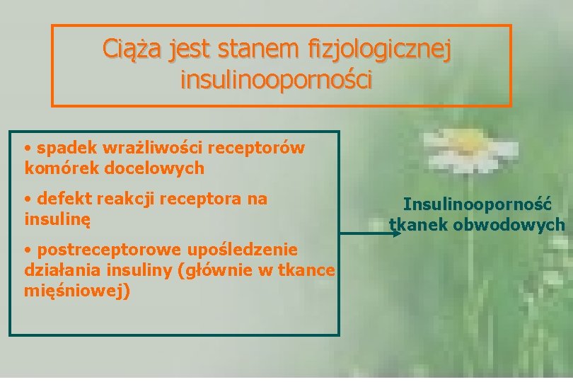 Ciąża jest stanem fizjologicznej insulinooporności • spadek wrażliwości receptorów komórek docelowych • defekt reakcji