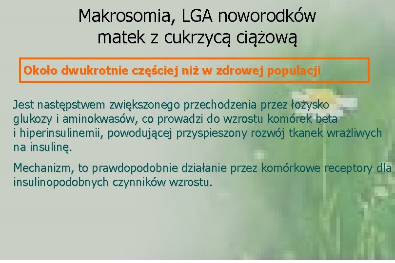 Makrosomia, LGA noworodków matek z cukrzycą ciążową Około dwukrotnie częściej niż w zdrowej populacji