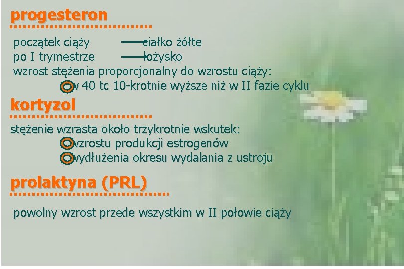 progesteron początek ciąży ciałko żółte po I trymestrze łożysko wzrost stężenia proporcjonalny do wzrostu