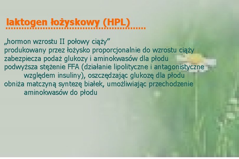 laktogen łożyskowy (HPL) „hormon wzrostu II połowy ciąży” produkowany przez łożysko proporcjonalnie do wzrostu