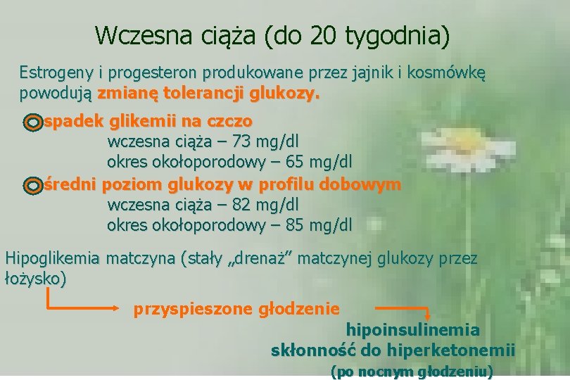 Wczesna ciąża (do 20 tygodnia) Estrogeny i progesteron produkowane przez jajnik i kosmówkę powodują